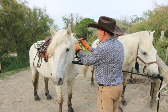  Preparación de los caballos 