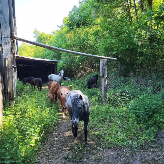 Camicrema guiada con instructor. 