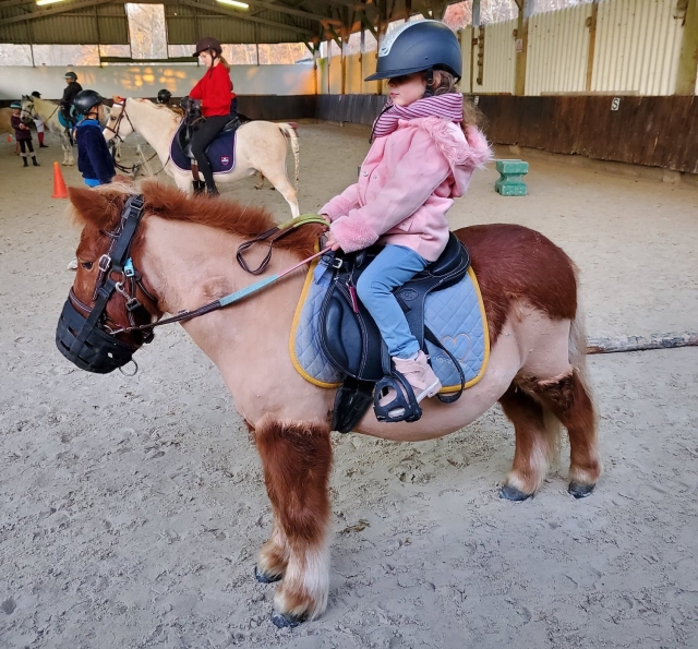  ¡Listo para el paseo en pony! 