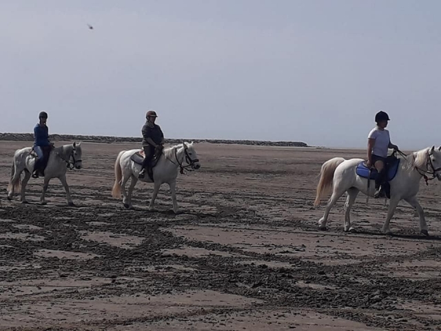  Pbaños a caballo por la arena 