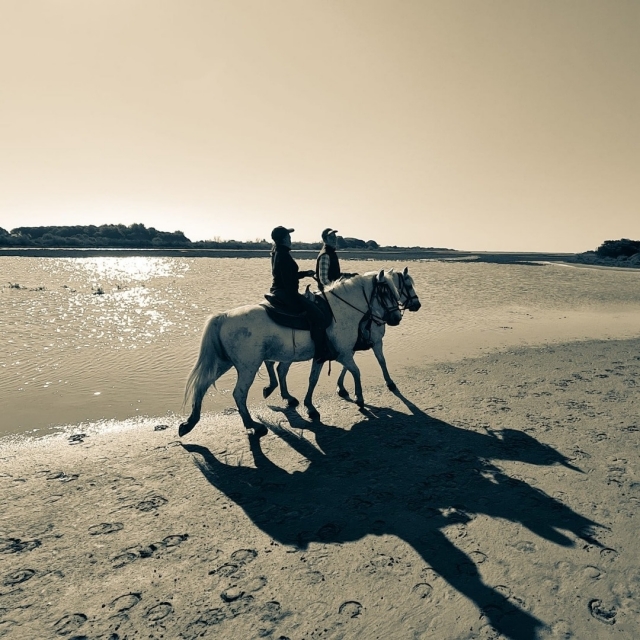 Pbaños a caballo en la playa de Bouches-du-Rhône