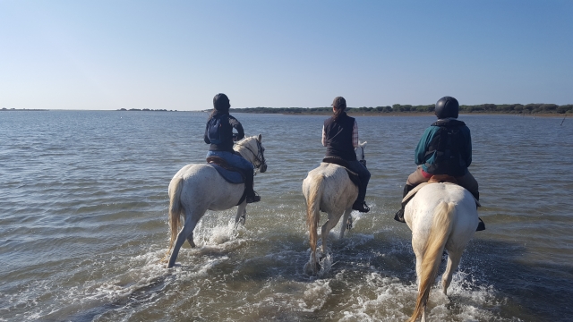  Descubrimiento de la playa de Grand Radeau a caballo 