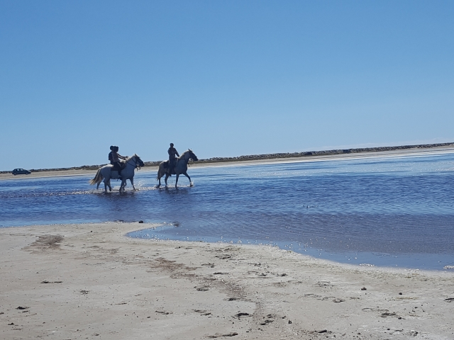  Descubrimiento de la costa de Camarga 