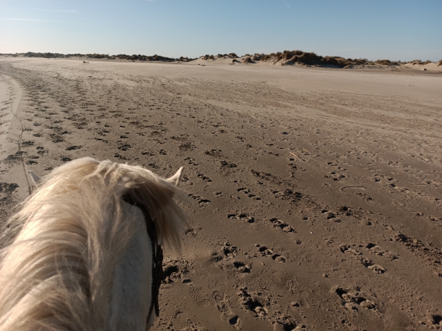 Pasaje en la playa 