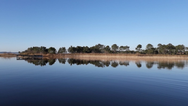  El gran lago Cazaux Sanguinet 