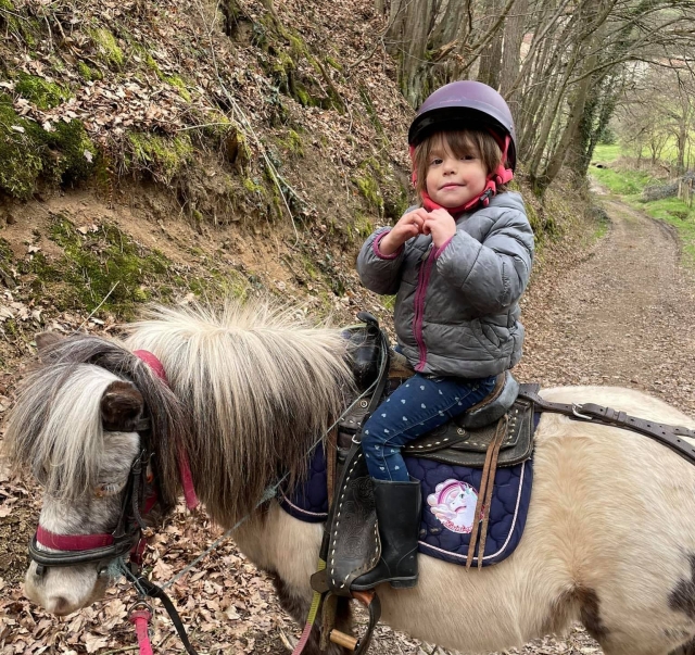 A los niños les encantan nuestros ponis 