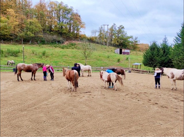  Regreso al club ecuestre después del paseo en pony 