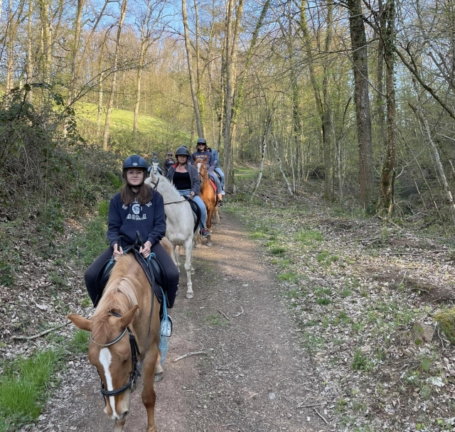  Pbaños a caballo en el bosque del Loira 