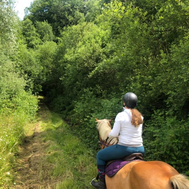 En el corazón del bosque de Calvados 