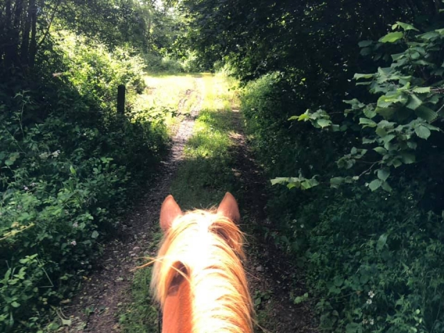  A la cabeza del paseo a caballo 