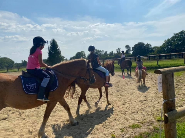  Preparación para el paseo a caballo 