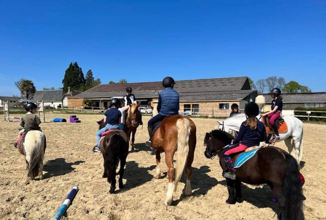  Equinos adaptados a sus tamaño