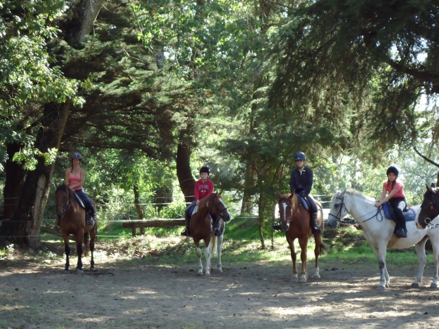Paseo a caballo en grupo
