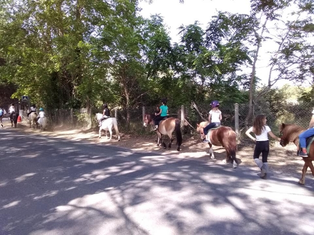 ¡Vamos a subir a caballo!