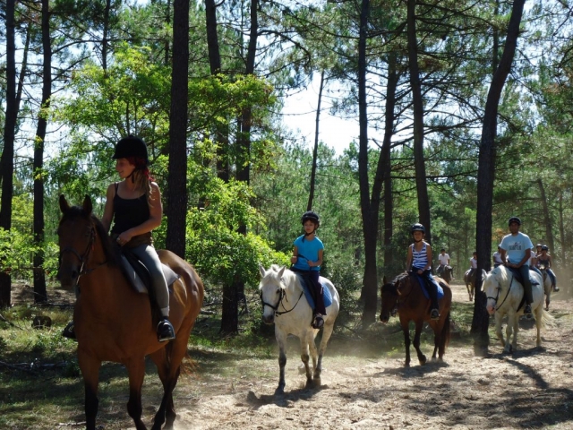  Paseo entre los pinos de Vendée 
