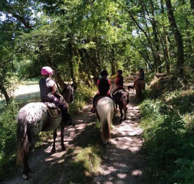 Paseo familiar en Saint-Julien Maumont 