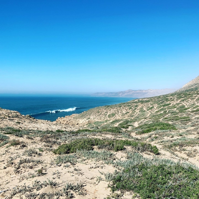  Paisaje de la costa de Longeville-sur-Mer 