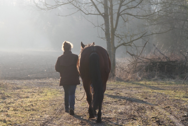  Pbaños a caballo al amanecer 
