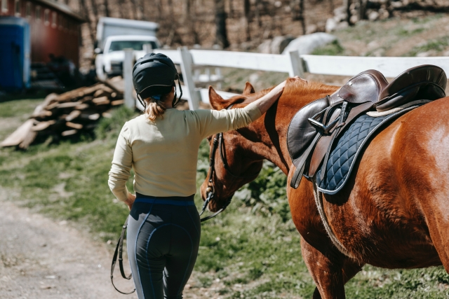  Preparación del caballo 
