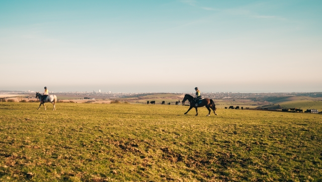Pbaños a caballo en Calvados 