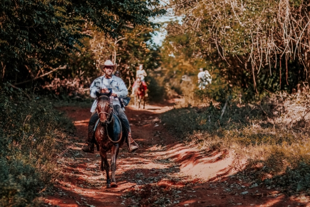  Pbaños a caballo por los bosques de Calvados 
