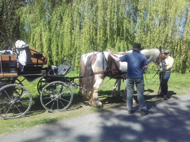  Nuestro carruaje le espera.