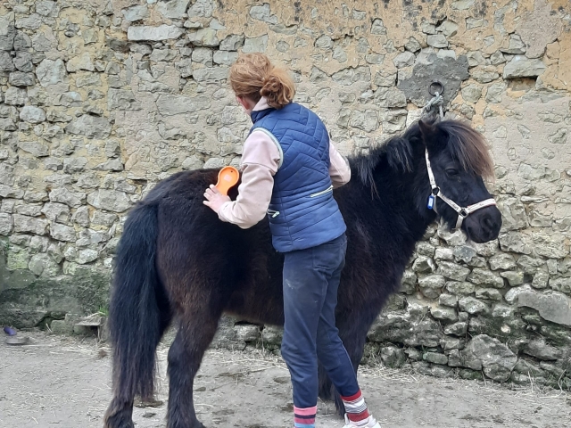  Amor por el pony 