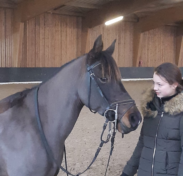  Descubrimiento de la equitación en Sarthe 