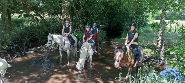Paseo vigorizanle en pony 