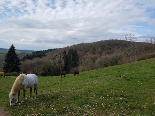  Panorama de Borgoña-Franco Condado 