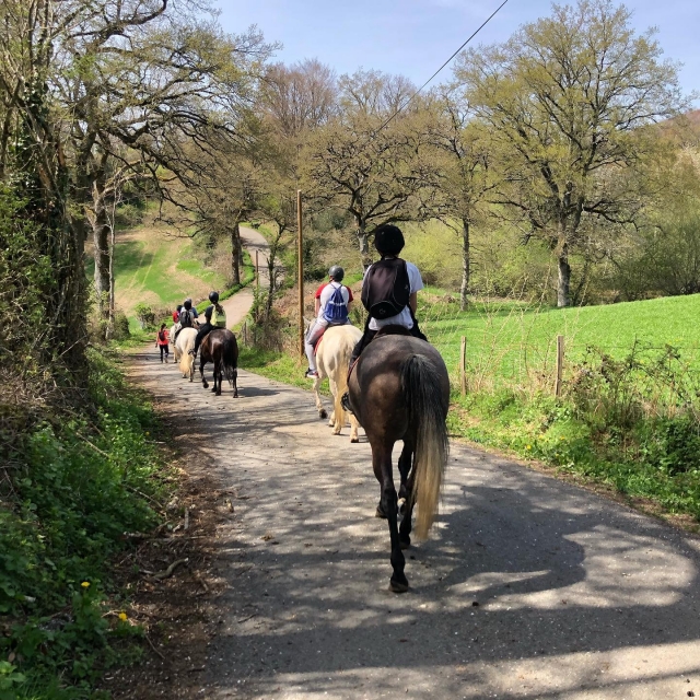  En roule pour la découverle à cheval 
