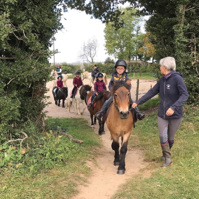 Entrée dans la forêt de Réquista à poney 