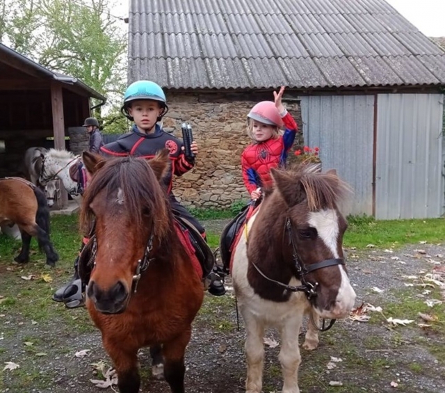  Le poney es chido !