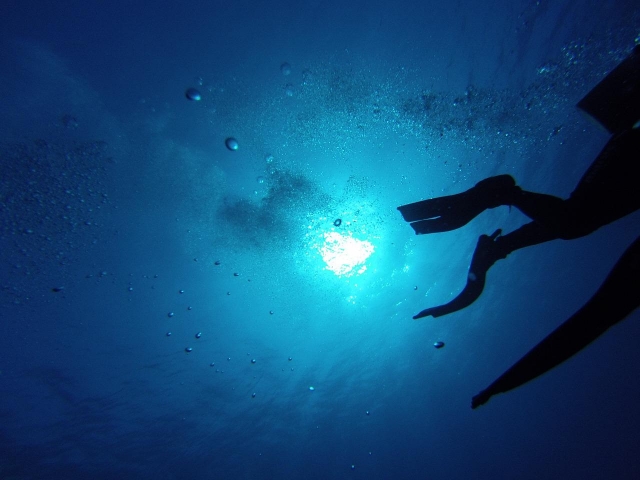  Buceo en Marsella 