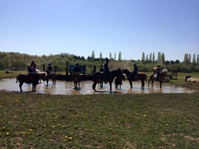 Pbaños a caballo en Mosela 