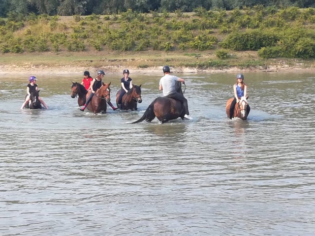  Cruzar el estanque a caballo 