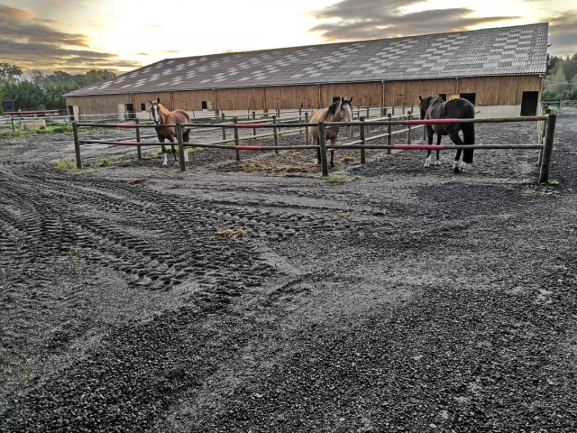  Descanso para nuestros caballos 