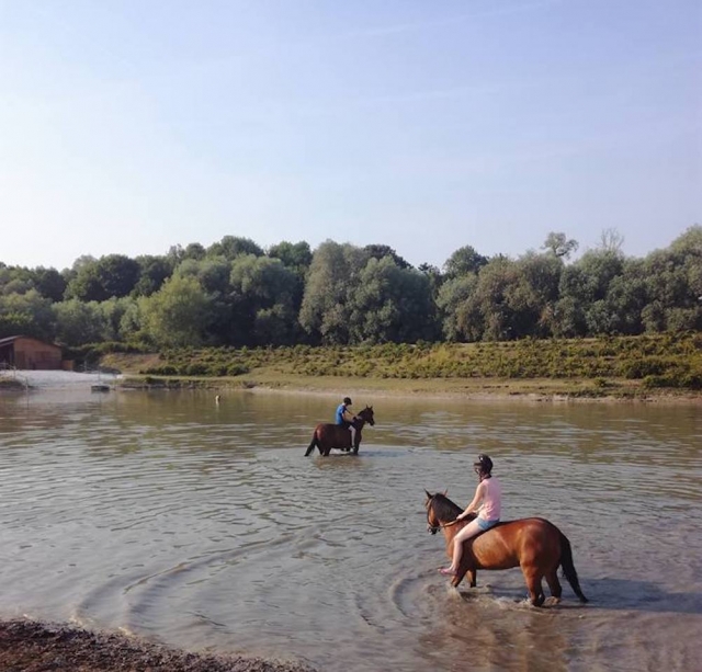  Paseo en pony en Escaut 