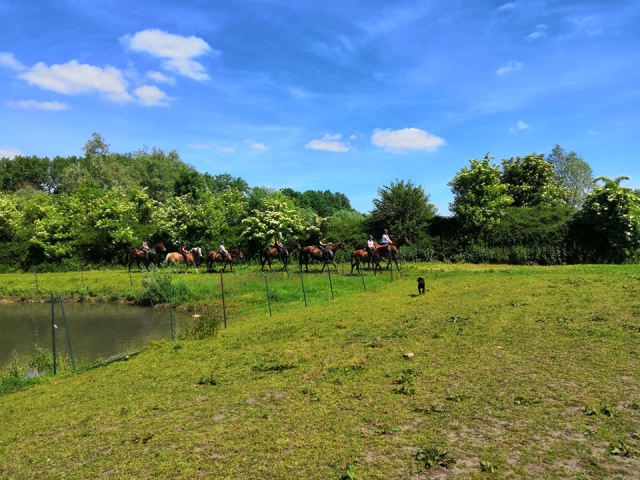  Paseo en pony en verano 