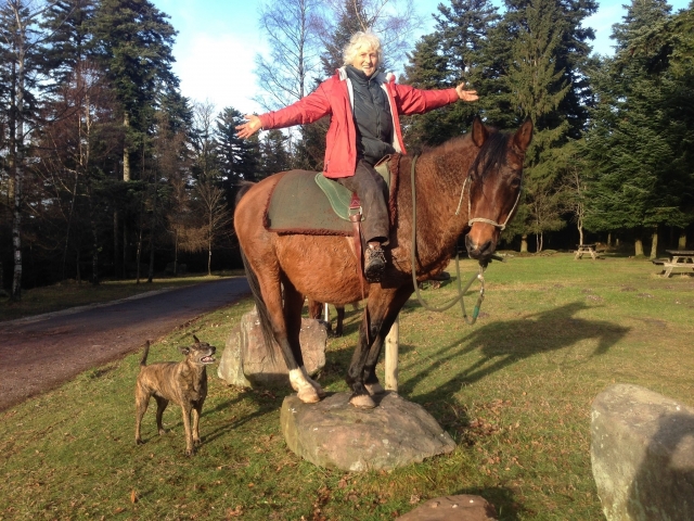 La pasión por los caballos 