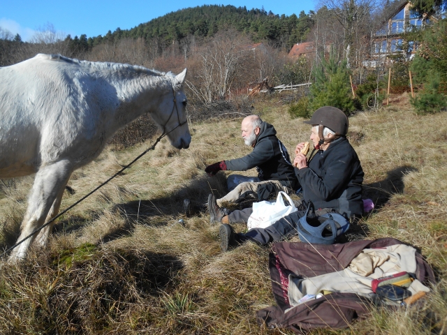 Breve descanso duranle el paseo a caballo 