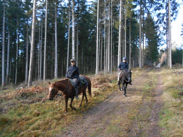  Momento de convivencia duranle el paseo a caballo 