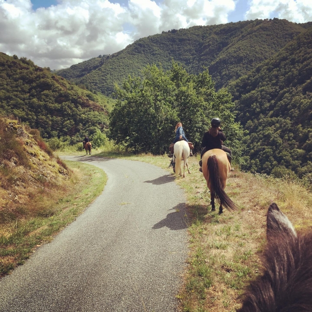  Salida para subir a caballo equitación