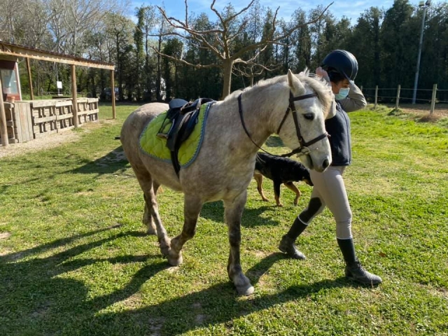  Listo para el paseo a caballo en Vaucluse 