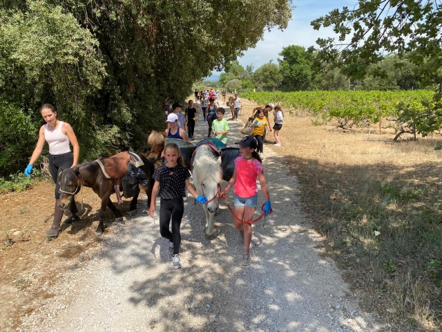 Salida para el paseo en pony 