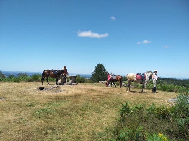  Breve pausa en la naturaleza para descansar 
