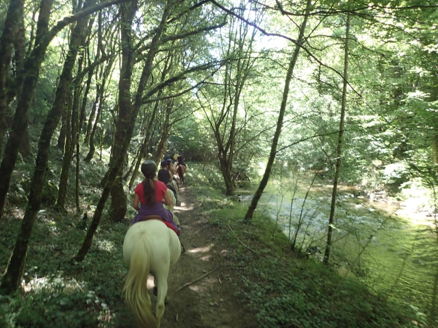  Paseo a caballo en Alto Vienne 