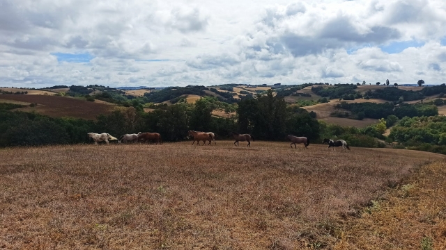  Preciosa y gran llanura de la región Occitania 