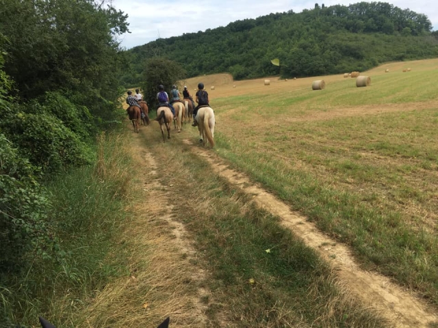  Descubrimiento de los paisajes naturales de Ariège a caballo 