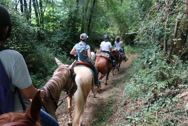 Descubrimiento de los bosques de Ariège a caballo 